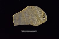 陶片藏品圖，第2張